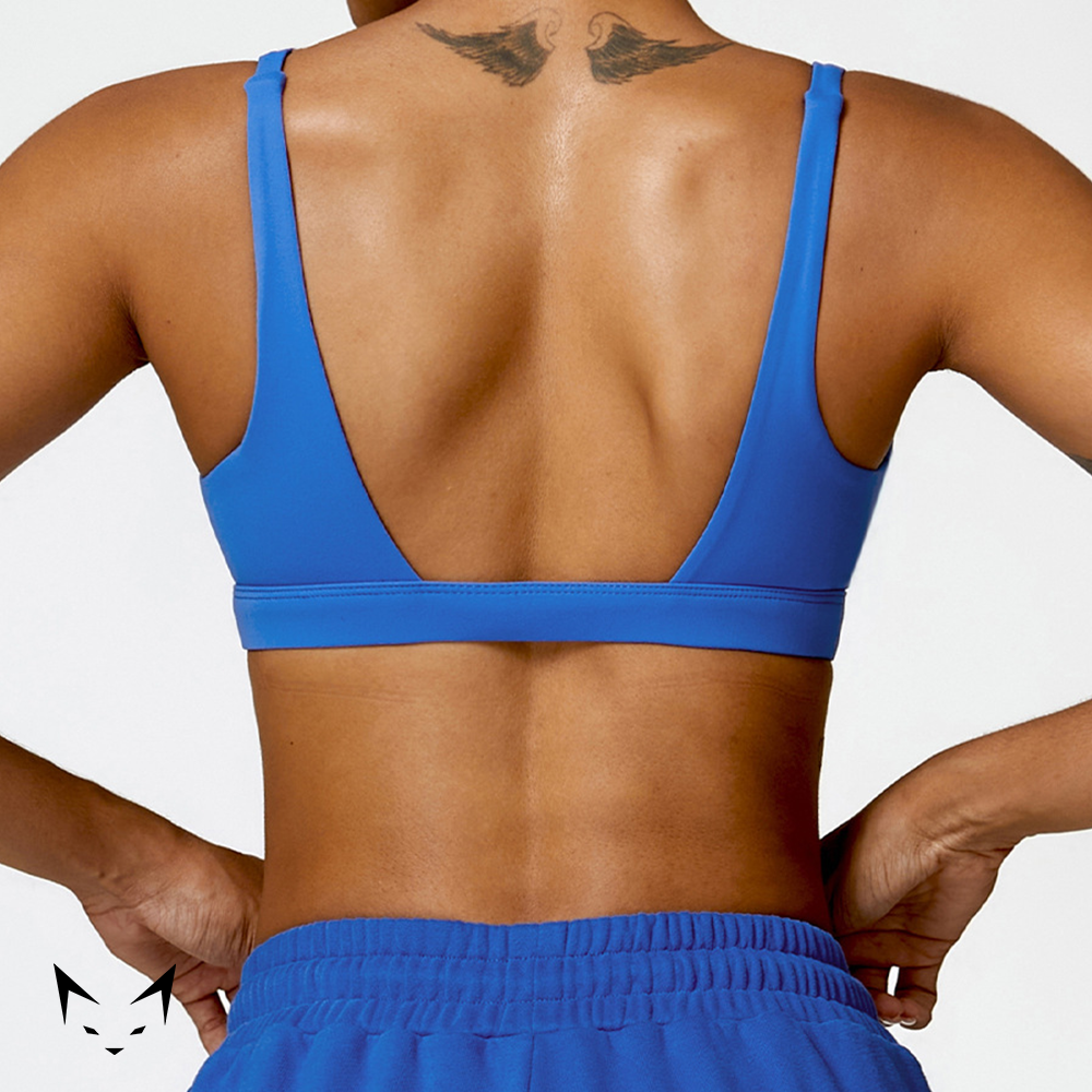 Triangle Cut Sports Bra