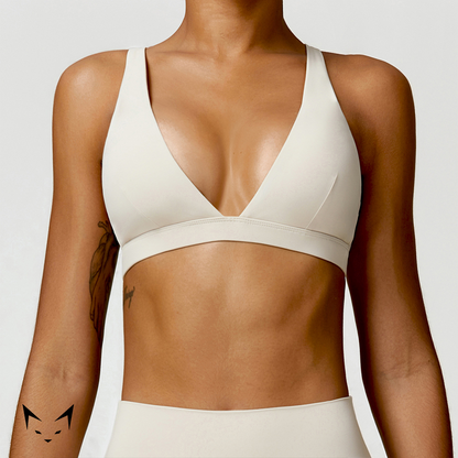 Triangle Cut Sports Bra