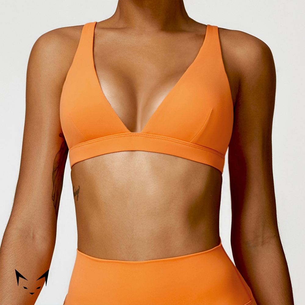 Triangle Cut Sports Bra